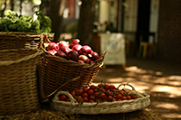 Our monthly basket, curated with care.